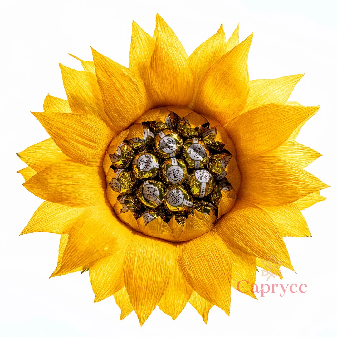 capryce.ro-acasa-produse-si-servicii-inceputul-anului-scolar-01