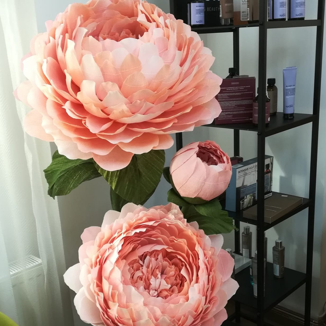 capryce.ro-flori-gigant-2