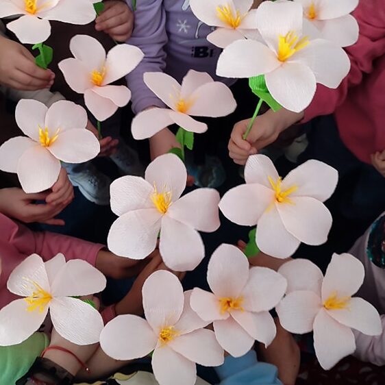 capryce.ro-misiunea-noastra