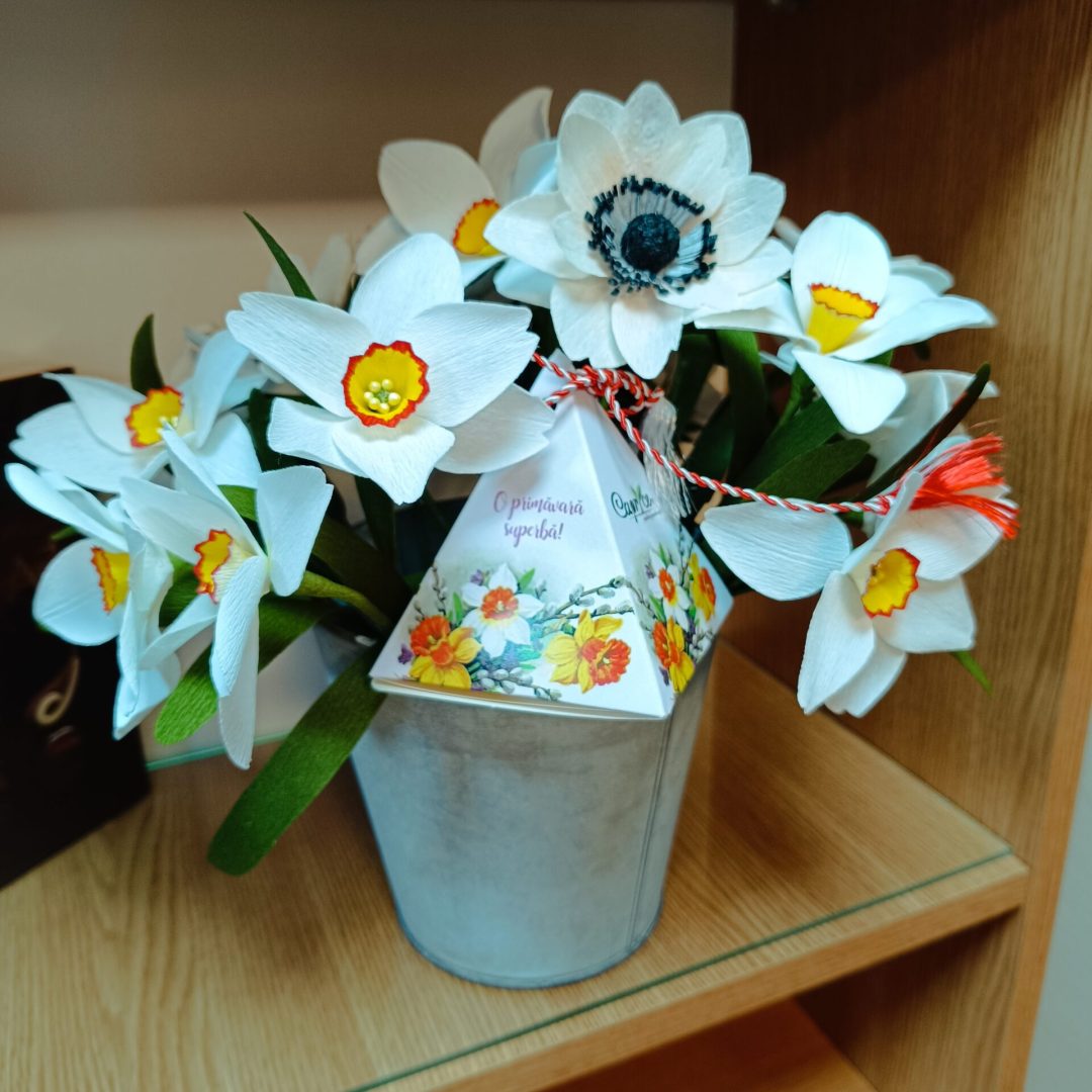 capryce.ro-workshop-narcise-albe