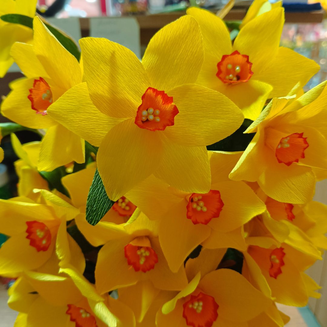 capryce.ro-workshop-narcise